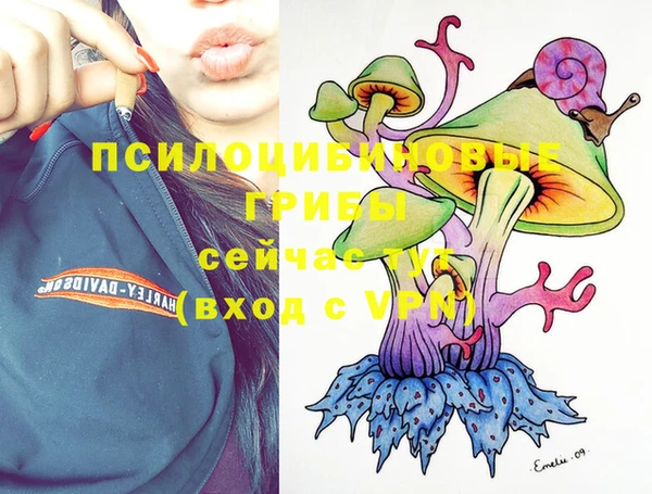 дмт Абдулино
